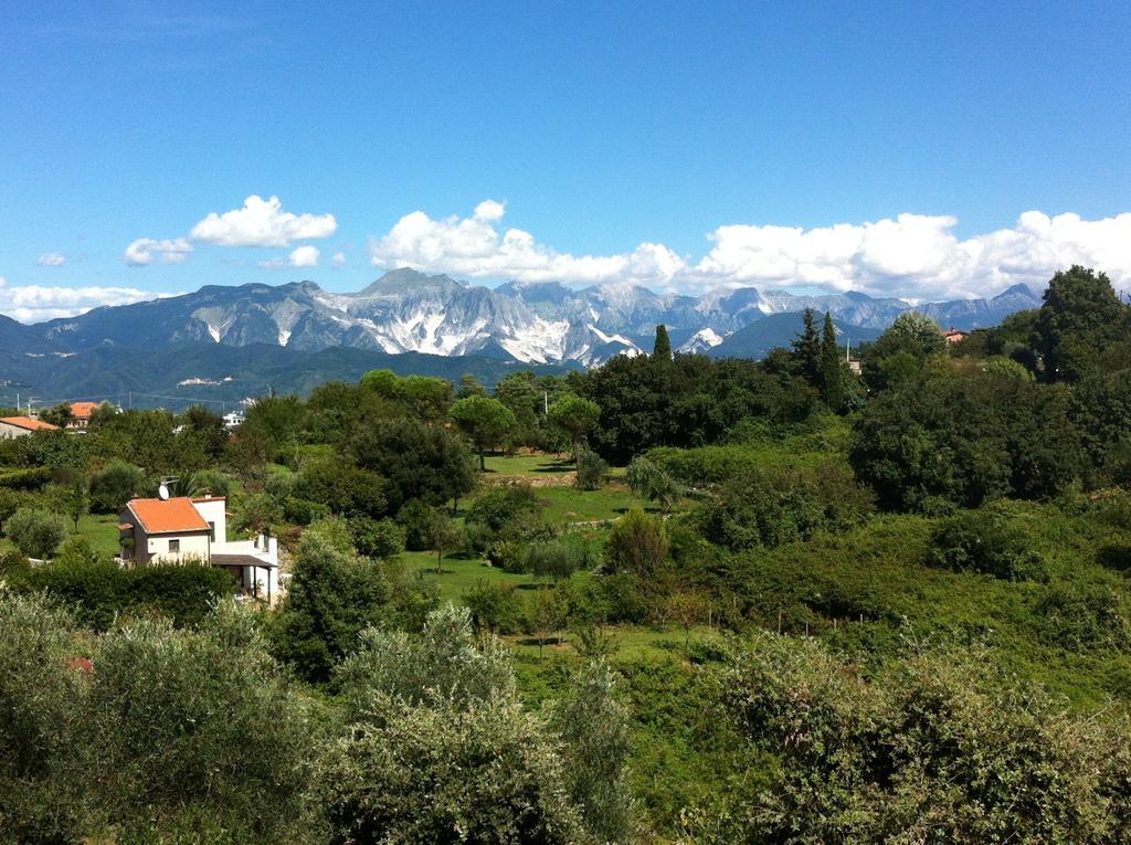 B&B Le Palme Ameglia Exterior photo